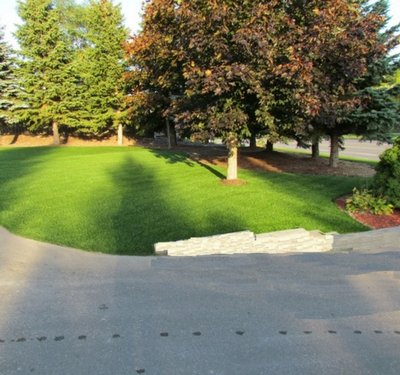 Artificial Turf for Your Front Yard